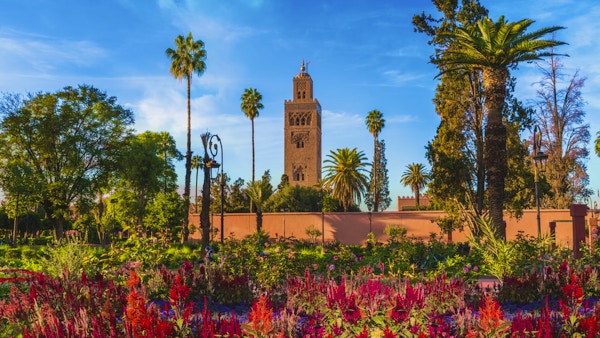 Utsikt over Koutoubia-moskeen og gardem i Marrakesh, Marokko. Blomsterrik hage med moskeen i bakgrunn