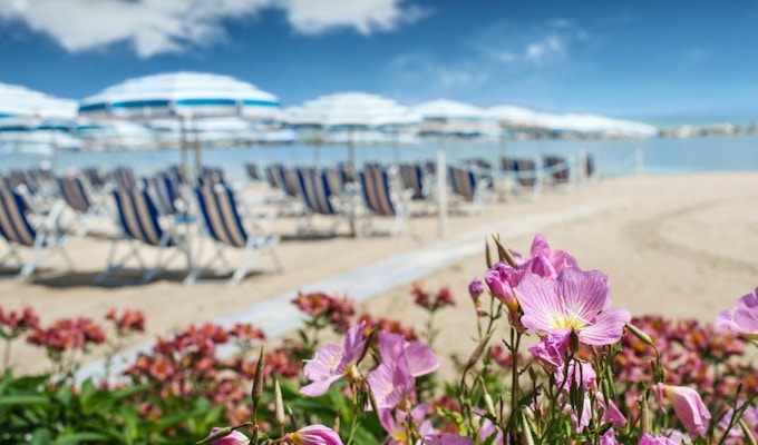 Et blomsterbed med rosa blomster foran stripete strandstoler og parasoller stilt opp på sanden i bakgrunnen
