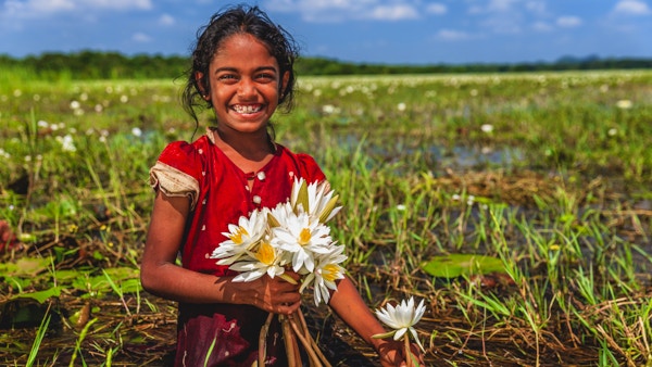Sri Lankesisk liten jente som samler lotusblomster fra en innsjø nær Sigiriya, Ceylon.