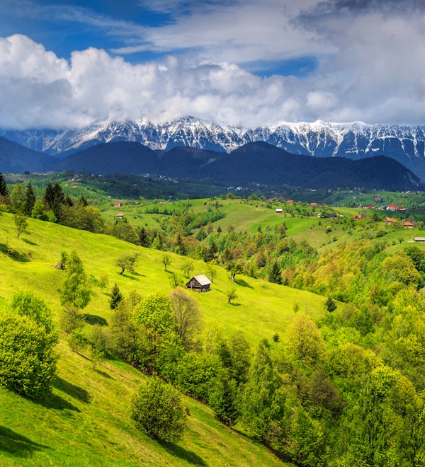 Fantastisk, alpint landskap med grønne åkrer og høye snødekte Piatra Craiului-fjell nær Brasov, Transylvania, Romania, Europa