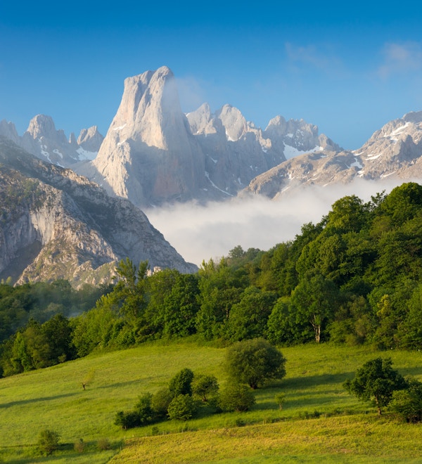 Picos de Europa er en fjellkjede som strekker seg rundt 20 km og utgjør en del av Cantabrian-fjellene i Nord-Spania. Utvalget er lokalisert i Asturias, Cantabria og Castilla og LeÃ³n.