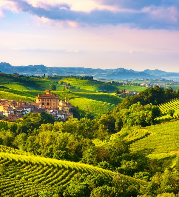 Langhe vingårder panorama, Barolo landsby, Unesco Site, Piemonte, Nord-Italia Europa.