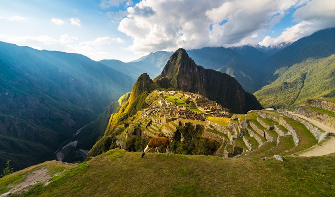 Utsikt over Machu Picchu med lama i forgrunnen