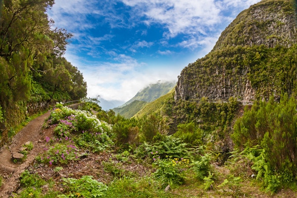 Vakker landskap på øya Madeira med sti nær "Levada" til fossen