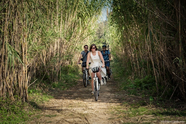 Tre mennesker sykler på sti mellom høye bambusplanter i Puglia