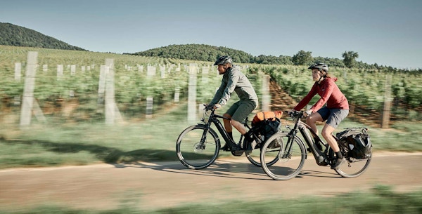 To syklister med hjelm suser fremover, bakgrunnen med vinranker som er litt utydelige