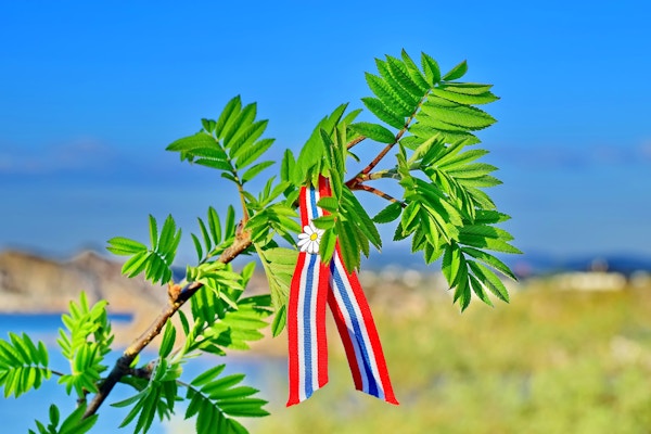 Rowan tree springblader mot blå himmel og havbakgrunn med norsk 17-mai-bånd. Norges grunnlovsdag feires 17. mai