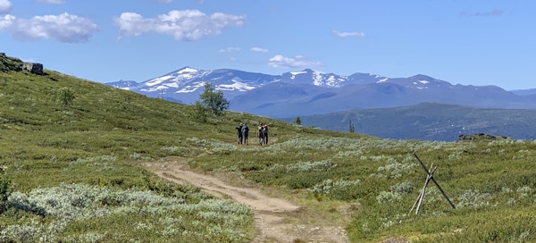Fire personer vandrer i grønt fjellanskap på sti med blå himmel og snødekte fjell i bakgrunnen