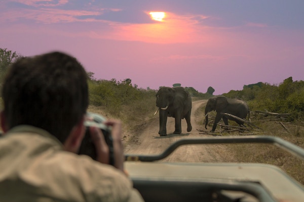En dyrelivsfotograf som fanger elefanter ved solnedgang i Queen Elizabeth National Park, Uganda