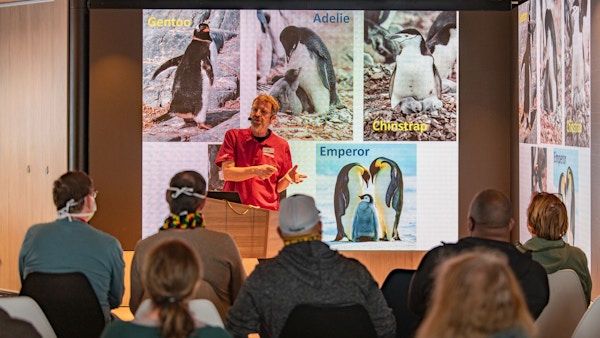 Foredragsholder inne i et rom som viser bilder av mange slags pingviner på storskjerm