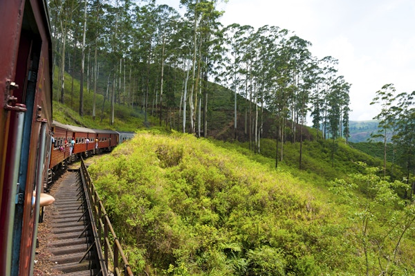 Reis med tog gjennom naturskjønne fjellandskap i Nuwarelia, Sri Lanka
