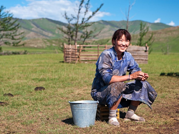 Mongolsk kvinne i nasjonale klær som melker en yak.