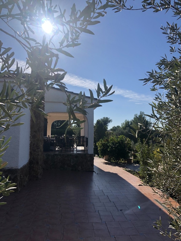 En terasse foran det hvite huset sett fra bak oliventrærne og solen skinner deilig og varmt