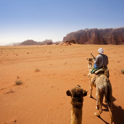 Reiser med kamel i Wadi Rum-ørkenen, Jordan