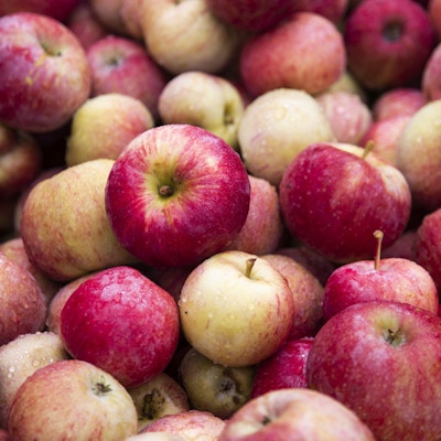 En haug med duggfriske, røde epler fra Hardanger