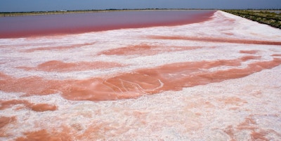 Rosa innsjø med salt i Cervia
