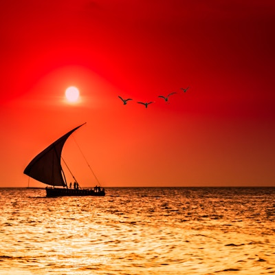Silhuetter av en seilbåt og måker foran en vakker solnedgang