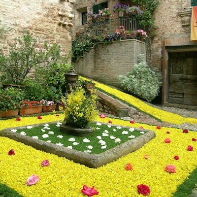 Piazza i byen Spello, Umbria, dekorert med blomster til festivalen til Corpus Cristi