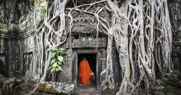 Munk i Angkor Wat Kambodsja. Ta Prohm Khmer eldgamle buddhisttempel i jungelskogen. Berømt landemerke, tilbedelsessted og populært turistmål i Asia.