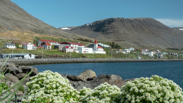 Øysamfunn med hvite bygninger sett fra avstand