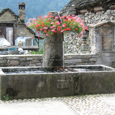 Italia lago maggiore val anzasca landsby bronn blomster