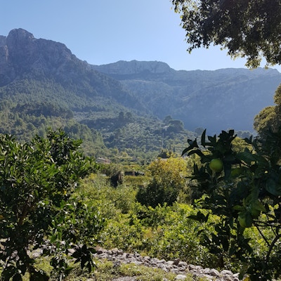Eco Vinyassa, Mallorca