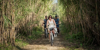 Tre mennesker sykler på sti mellom høye bambusplanter i Puglia