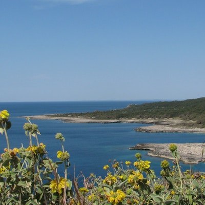 Kystlinjen med odder i naturreservatet Porto Selvaggio utenfor Santa Caterina