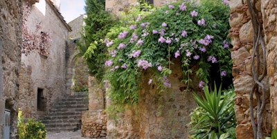 Spansk middelaldersk hage med trær og blomster, Peratallada