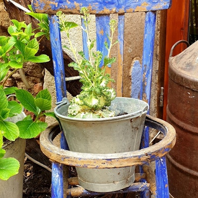 En sinkbøtte med blomster på en gammel slitt blå stol uten sete fungerer som sjarmerende gatepynt i middelalderbyen Peratallada