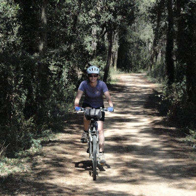 Person på sykkeltur på sti i skogen