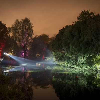 'Night in the Garden' Botanic Lights i Royal Botanic Garden, Edinburgh