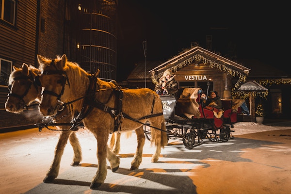 To hester med tykk vinterpels er salet opp med seletøy foran en vogn med skinnfeller og mennesker i