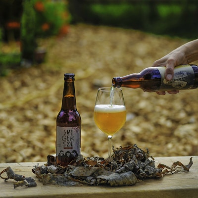 En ølflaske er plassert på en benk med bark rundt mens en hånd skjenker i et glass
