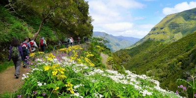 Vannveiene eller ”levadaene” på Madeira er kjent for sin skjønnhet. Turveiene går gjennom vakker natur og bugnende blomsterdaler.