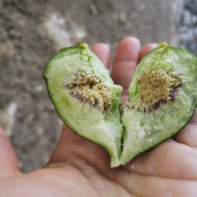 en hånd som holder en type frukt som er ødelagt i en hjerteform