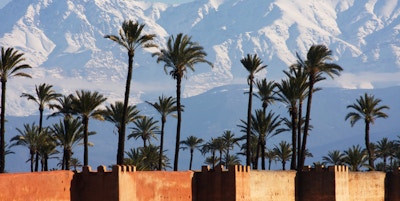 Høye palmer med de store Atlasfjellene i bakgrunnen