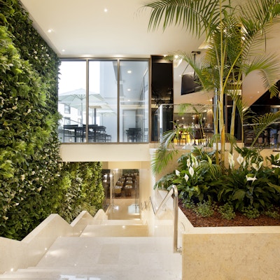 Interiør, grønn vekstvegg fra Turim Santa Maria Hotel i Funchal