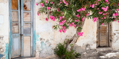 Gamle tredører, tre- og Bougainvillea-blomster, Paros, Hellas. Paros er en gresk øy i det sentrale Egeerhavet, den ligger vest for Naxos.