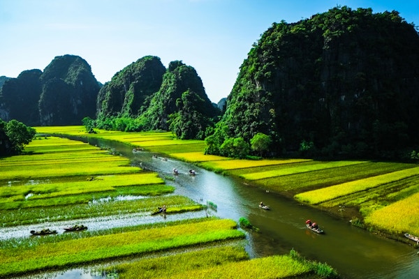 Risfelt og elv, NinhBinh, Vietnam-landskap