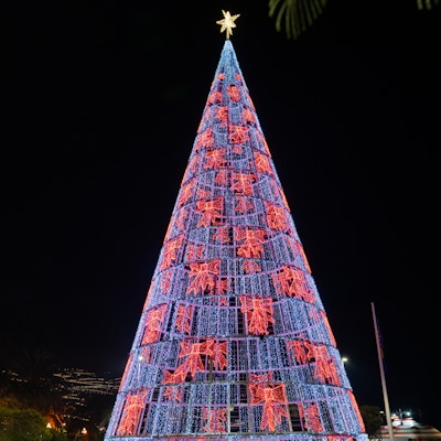 Stort lys-juletre med masse lys og stjerne i toppen