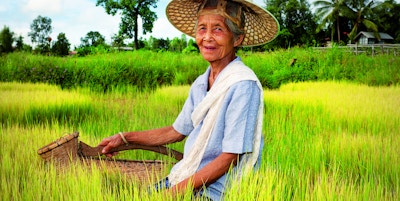 Eldre asiatisk kvinne med en vietnamesisk stråhatt.