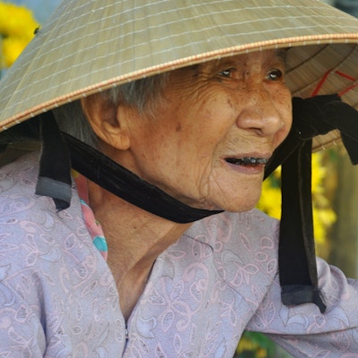 Vietnamesisk dame