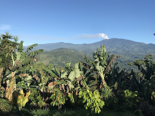 utsikt over vulkanen Turrialba fra Nortico Cocoa farm