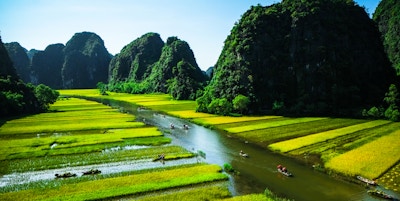 Risfelt og elv, NinhBinh, Vietnam-landskap