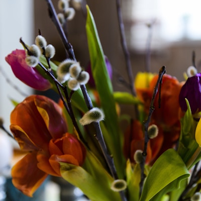 Nærbilde av en blomsterbukett med gådunger og tulipaner i forskjellige farger