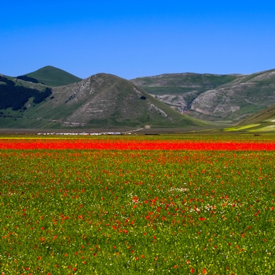 Denne dalen er dekket av fargerike blomster fra slutten av mai til midten av juli, et resultat av linser som blomstrer typisk italiensk vegetabilsk mat.