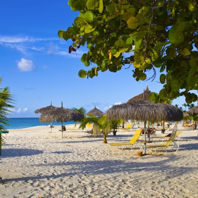 Vakker strand med palapas og palmer, Eagle Beach, Aruba.