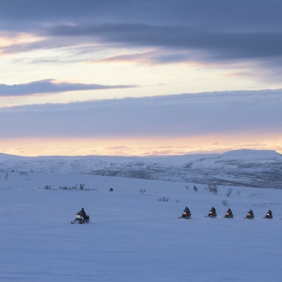 Syv snøskutere kjører på rekke over Finnmarksvidda i solnedgang