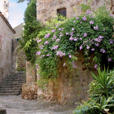 Spansk middelaldersk hage med trær og blomster, Peratallada